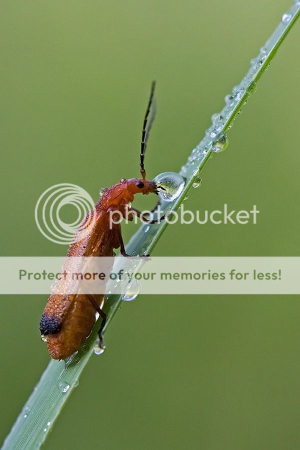 Fotografie
