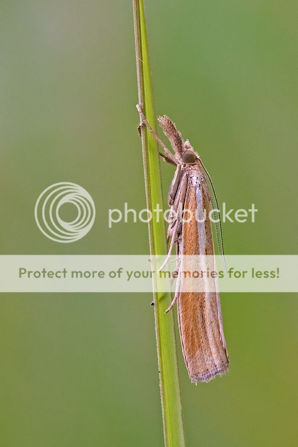 Fotografie