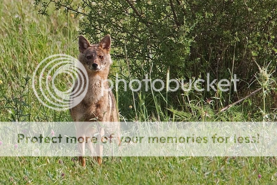 Fotografie