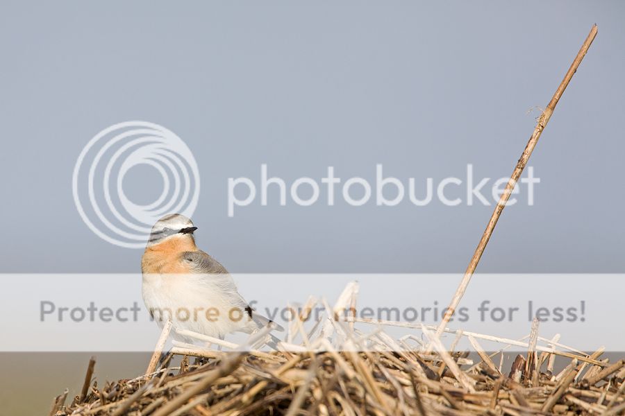 Fotografie
