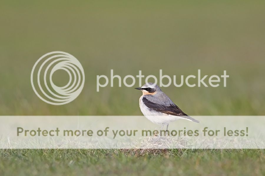 Fotografie