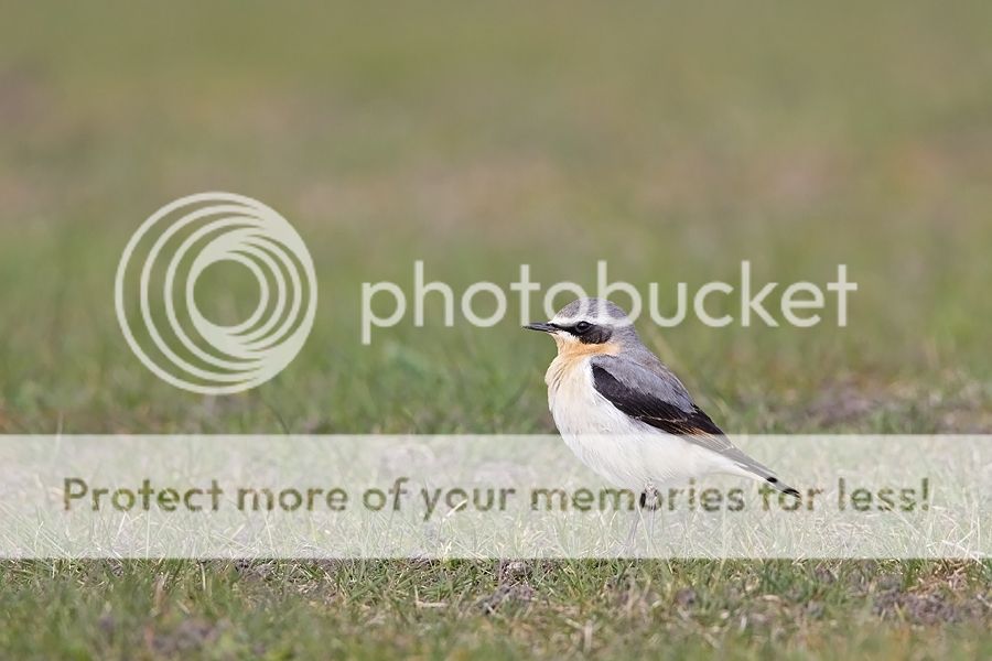Fotografie