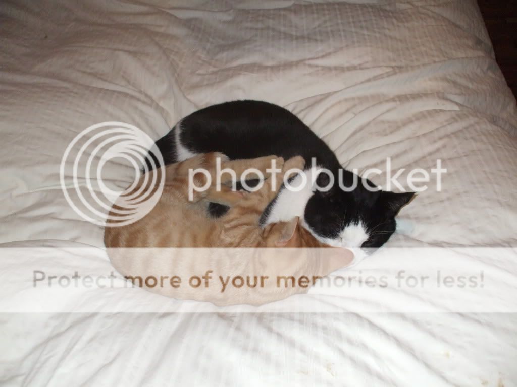 DSCF1194-1.jpg