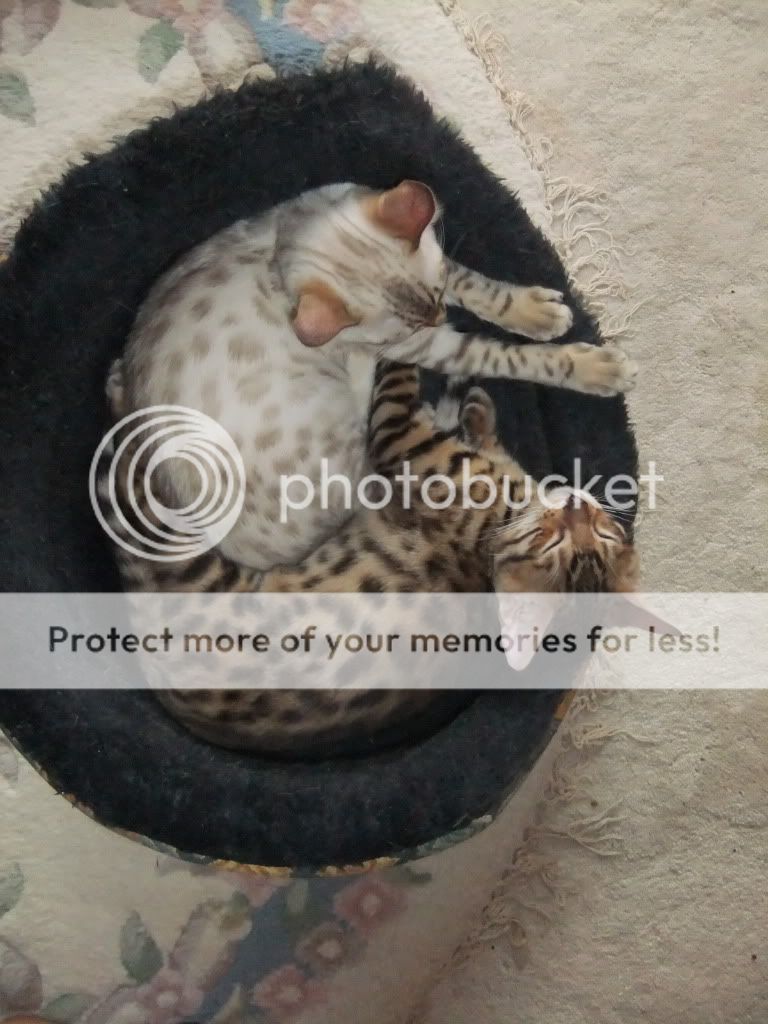 DSCF1690.jpg