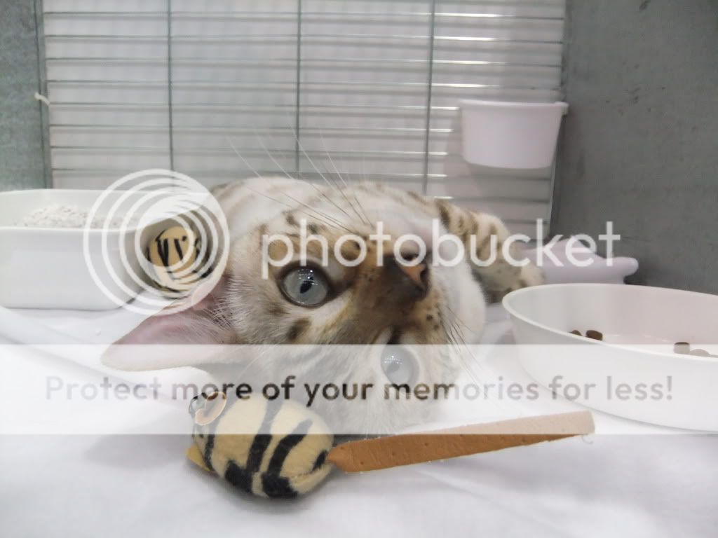 DSCF1966.jpg