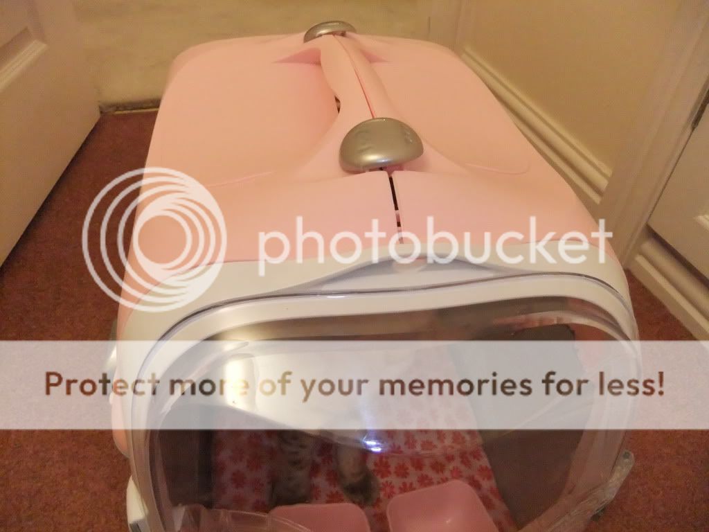 DSCF2041.jpg