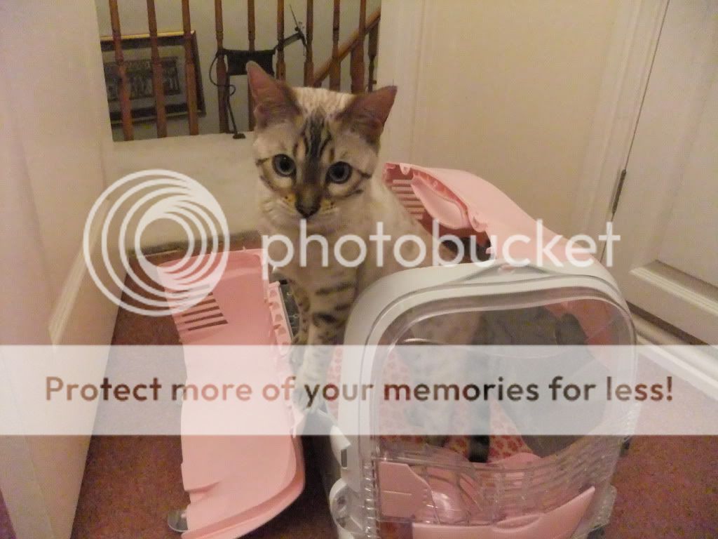 DSCF2052.jpg