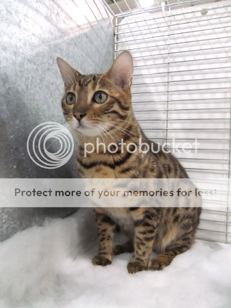 DSCF2591.jpg