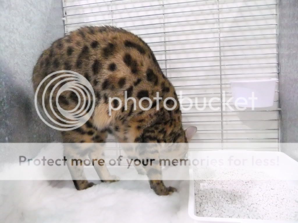 DSCF2592.jpg