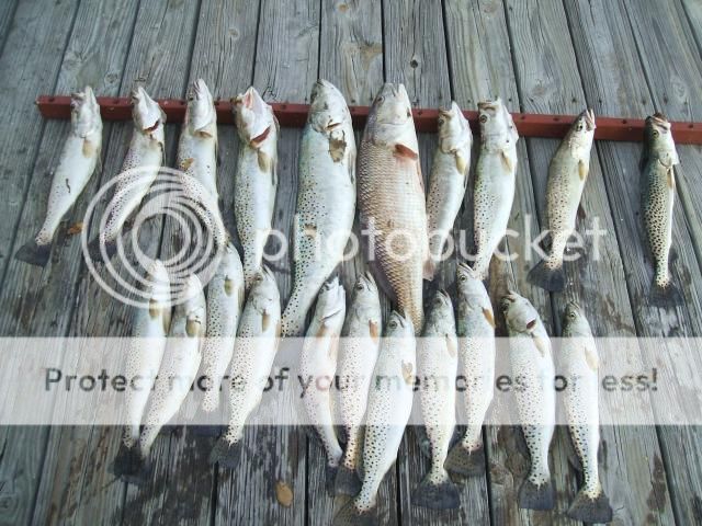  photo 001-87_zps944dbf50.jpg