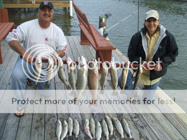  photo 002-82_zpsfdba1589.jpg