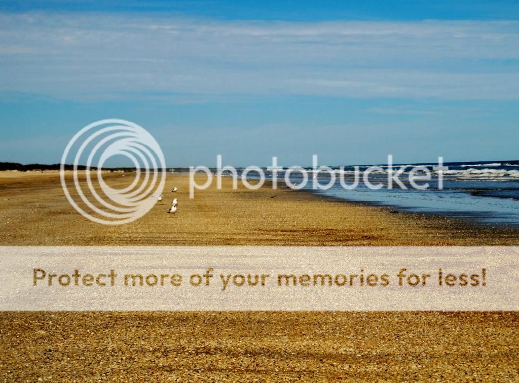  photo 034-4_zpsa340472a.jpg