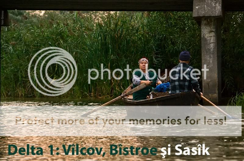 Danube,Delta,Moldova Birds,Ion Grosu