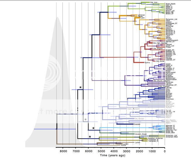 Evolution of languages