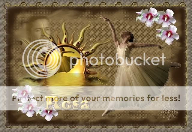 ROSA1.jpg picture by noche_2009