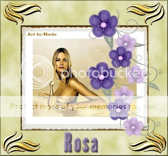 rosa2.jpg picture by noche_2009