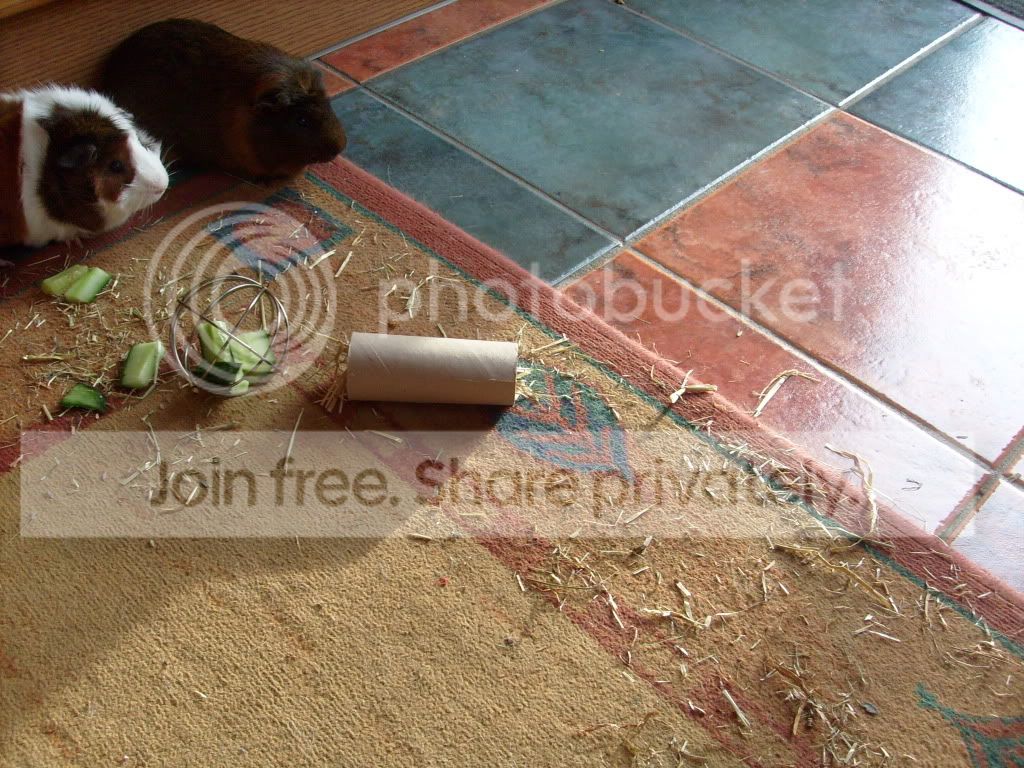 S7306719.jpg