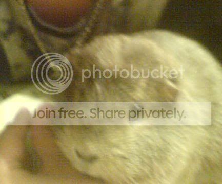 l_abfde17bb1be9a0b26fc910092366cc3.jpg